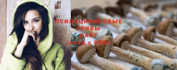 первитин Тавда