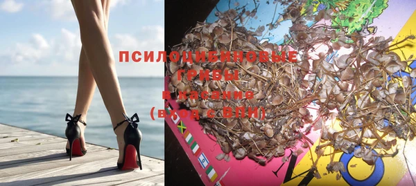 хмурый Похвистнево