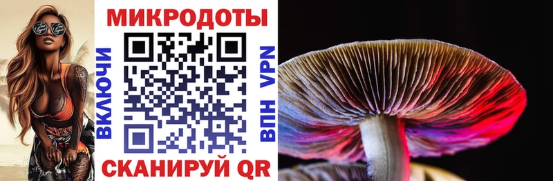 Галлюциногенные грибы Magic Shrooms  купить   гидра tor  Чкаловск 